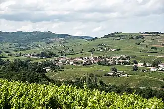 Gezicht op Juliénas