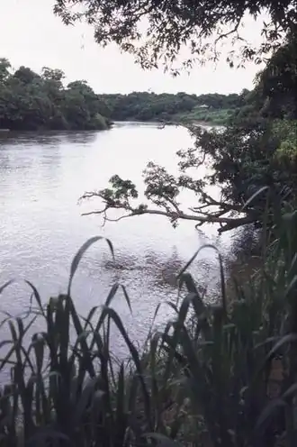 De rivier Juruá in de gemeente Juruá