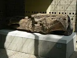 Herman de Vries, Le témoin, 1991