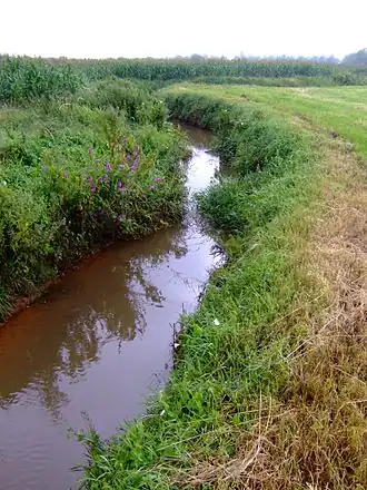 De Kaartse Beek in Ekeren