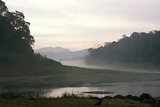 Omgeving van het stuwmeer in de rivier de Periyar (1989)