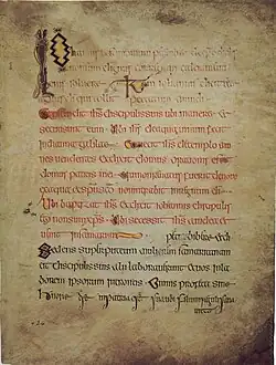 Insulaire majuskel, Book of Kells fol. 24 recto