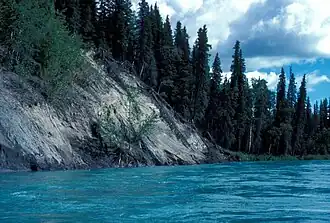 Kenai River