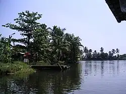 De Backwaters van Kerala