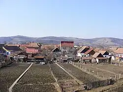 Dorpsgezicht met huizen