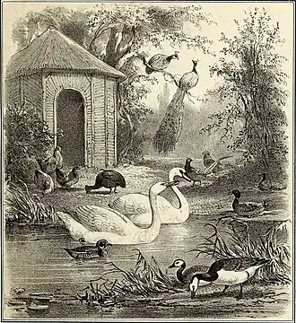 Onze vogels in huis en tuin