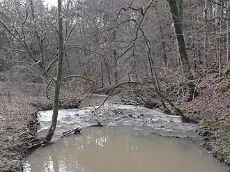 De Kielbaach ten noorden van Mamer.