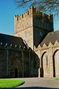 Kathedraal van Kildare