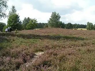 Op de Kirchdorfer Heide