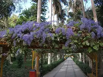 Tuinpad met pergola's