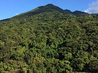 Mount Liamuiga gezien vanaf Kittitian Hill