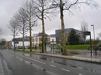 Kleinesingel met rechts het Griftpark en aan het eind de Wittevrouwensingel