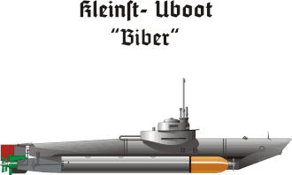 Zijaanzicht Biber