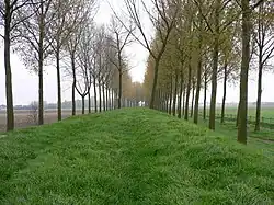 Koningsdijk in de lente (2009)