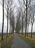 Koningsdijk met fietspad, bij Fort Bedmar in de richting van Kieldrecht en Nieuw-Namen (2013)