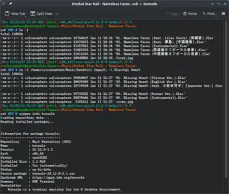 Schermfoto van Konsole 24.12.0 (2024)