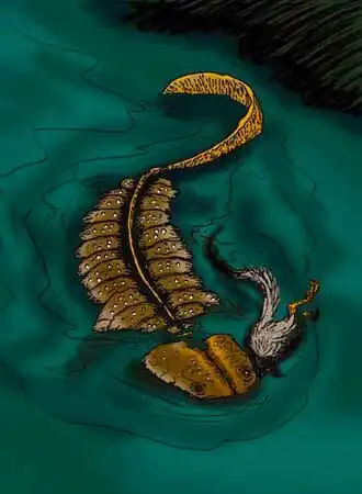 Koolasuchus
