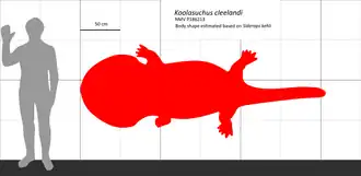 Koolasuchus