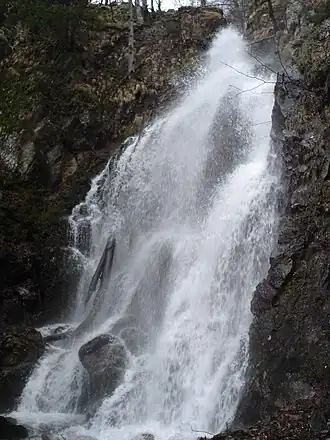 Nationaal park Kopaonik
