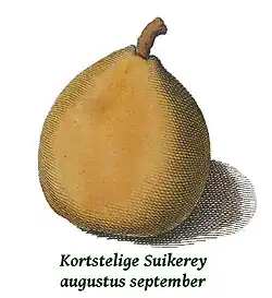 Kortstelige Suikerpeer