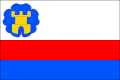 Vlag