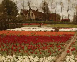 Bollenvelden, uit de nalatenschap van koningin Juliana