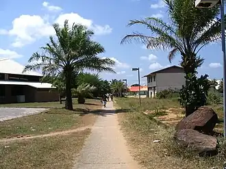 Allée du Bac in Kourou