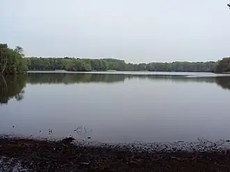 De Kraenepoel in mei 2010