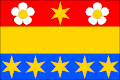 Vlag