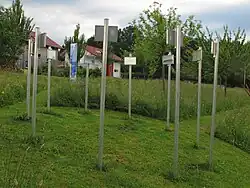 13 : Ortsbestimmung Marie Luise Kaschnitz (2002)