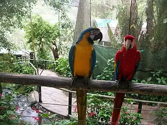 Birdworld Kuranda