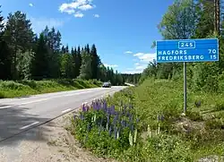 De weg in Ulriksberg