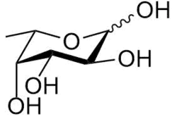 Conformatie van L-fucose