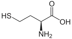 Structuurformule van L-homocysteïne