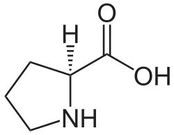 ▵ Structuurformule van L-proline