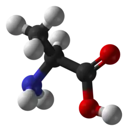 Molecuulmodel van L-alanine