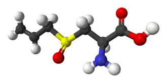 Molecuulmodel van L-alliine