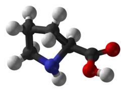▵ Molecuulmodel van L-proline