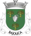 Vlag van Bajouca