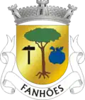 Vlag van Fanhões