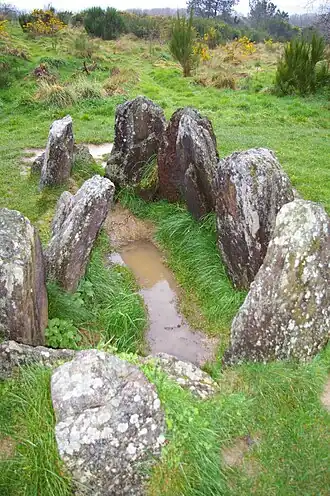 Het huis van Viviane