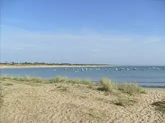 Plage de la Perroche