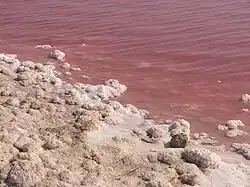 Salina van Torrevieja