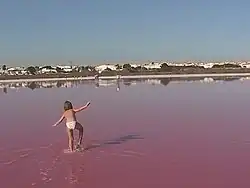 Salina van Torrevieja