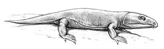 Labidosaurus