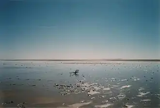 Het zuidelijke deel van het meer