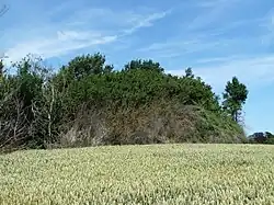 Tumulus van Middelwinden