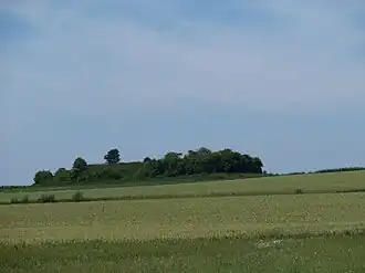 Tomboe Pepin d' Lande