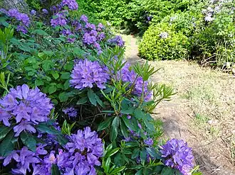Wandelpad door het landgoed Het Stroot