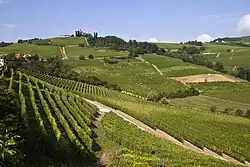 Wijngaardlandschap van Piëmont: Langhe-Roero en Monferrato